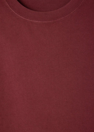 Fizvalley tee Bordeaux American Vintage 